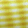 Gingham Print