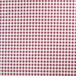Gingham Print