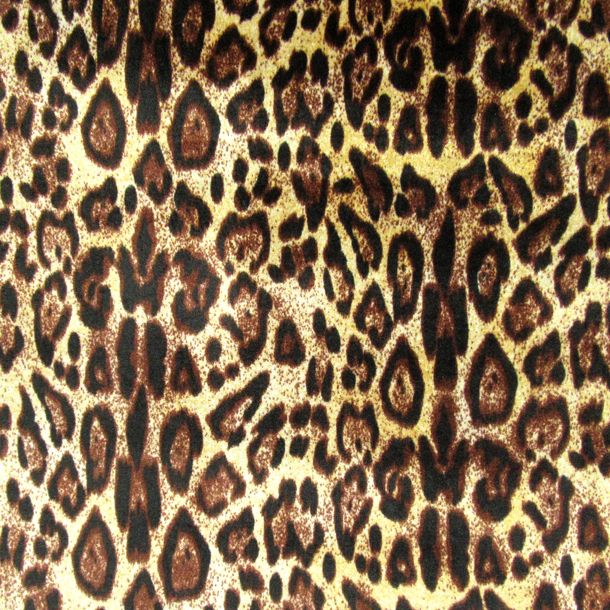 Leopard Skin