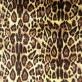 Leopard Skin