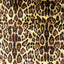 Leopard Skin
