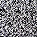 Premium Delicate Floral Pattern Lace Fabric