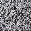Premium Delicate Floral Pattern Lace Fabric