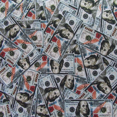 Premium Cotton Fabric with Money Print Pattern