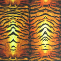 Tiger Skin