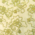 Sequins on Mesh