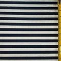 1cm Horizontal Stripe (Shiny)