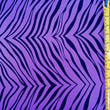 Tiger Print