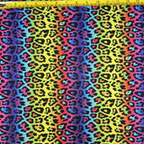 Rainbow Leopard