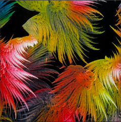 Feather Print Spandex Fabric