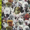 Puppies
