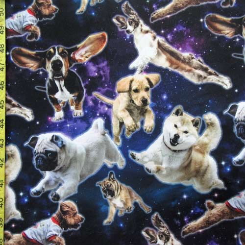 Hunting Dogs