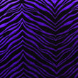 Metallic Zebra