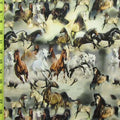 Horses