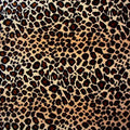 Leopard Print