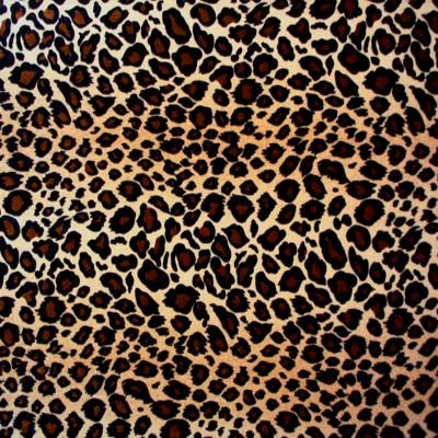 Leopard Print