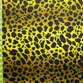 Leopard Print