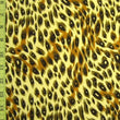 Leopard Print