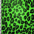 Leopard Print