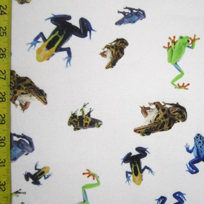 Frogs