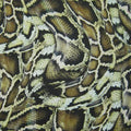Snake Skin