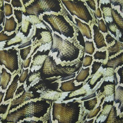Snake Skin