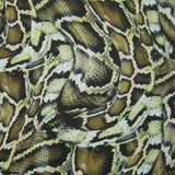 Snake Skin