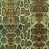 Snake Skin