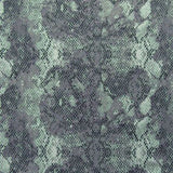 Snake Skin