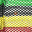 Cabaret Big Hole Net Fabrics - Rasta