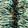 Jungle Zebra