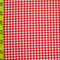 Gingham Print