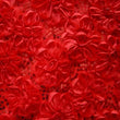 Embroidery Mesh