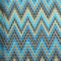 Fancy Net Fabric with Elegant Print