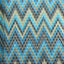 Fancy Net Fabric with Elegant Print