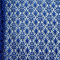 Fancy Net Fabric