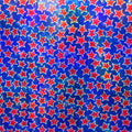 Premium Holographic Print Wall Art