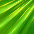 Metallic Matrix Spandex Fabric