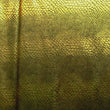 Anaconda Metallic Collection: Textured, Shimmering, and Iridescent Fabric Variants