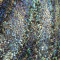 Avatar Premium Performance Stretch Fabric - Durable Synthetic Blend
