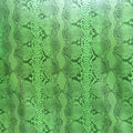 Premium Holographic Print Wall Art