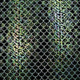 Holographic Fish Scale Spandex Fabric