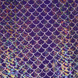 Holographic Fish Scale Spandex Fabric