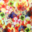 Premium Holographic Print Wall Art
