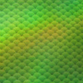 Holographic Fish Scale Spandex Fabric