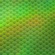 Holographic Fish Scale Spandex Fabric