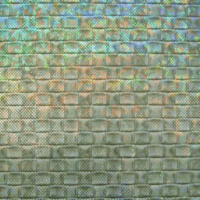 Stretch Holographic Fabric