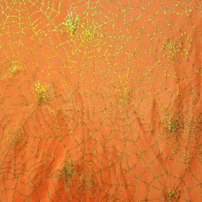 Intricate Realistic Spider Web Decoration