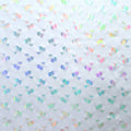 Premium Holographic Print Wall Art