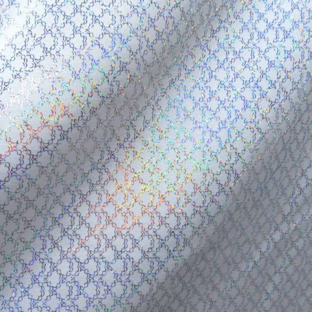 Premium Holographic Print Wall Art